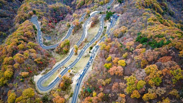 山道弯弯秋色浓