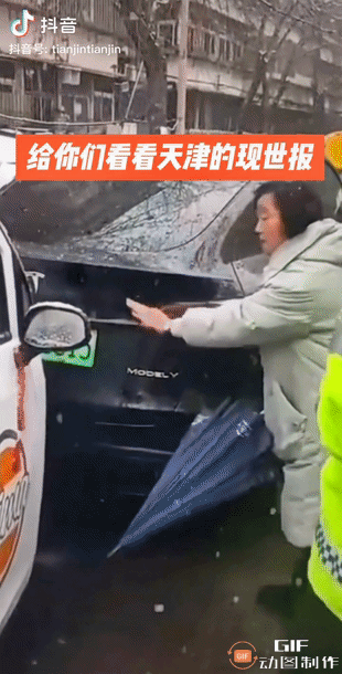 全程展示天津齐凤兰大妈：没证据我撒泼，有证据我耍赖图片