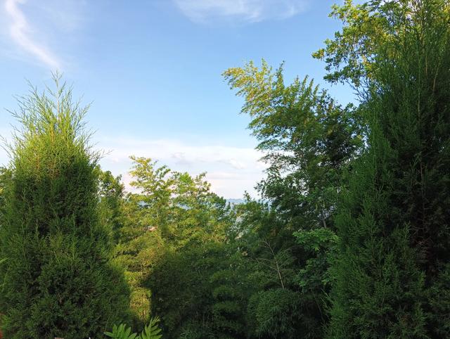 中国长寿之乡汉寿县的第一高峰，风景如画的金牛山风光。