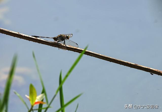 六安：丹桂飘香瓜果甜 山水美景等你来