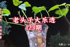 老头子大乐透123期图片