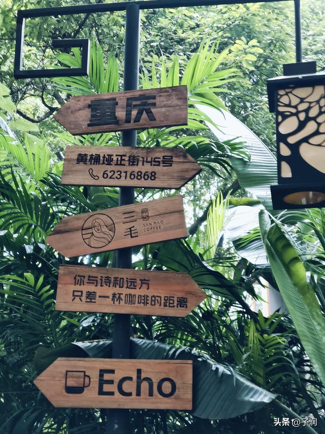 2025乙巳年11月19日 晴 气温6-13度