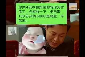 胖猫事件引发的深思：诚信经营的缺失与麦当劳的例外图片