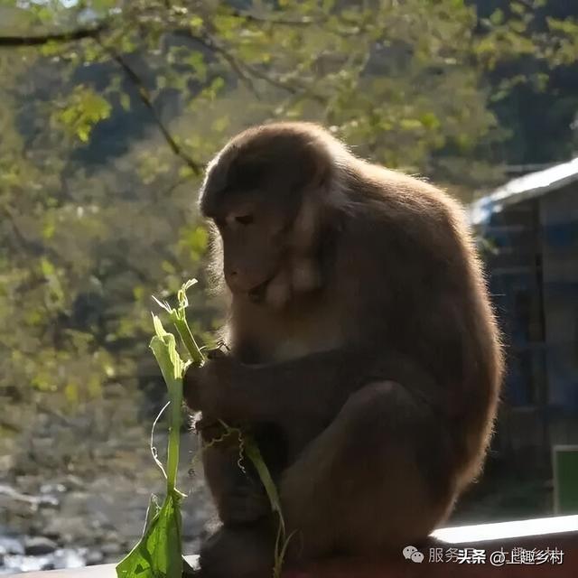 新年慢游计划｜去福建宝藏乡村浪漫跨年，给2026一个温柔的开始