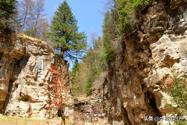 山西宁武石门悬棺：万仞崖龛藏古柩、千年石棺映翠岚