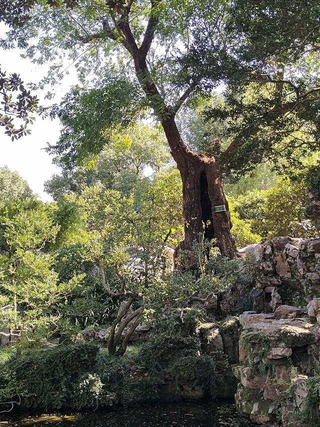 踏入苏州拙政园才懂得什么叫“一园藏尽江南梦”