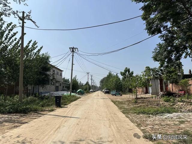 冠县乡韵·定远寨镇前杏园村