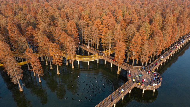 琅琊霜染文韵在 江淮冬暖客自来——安徽滁州初冬行记