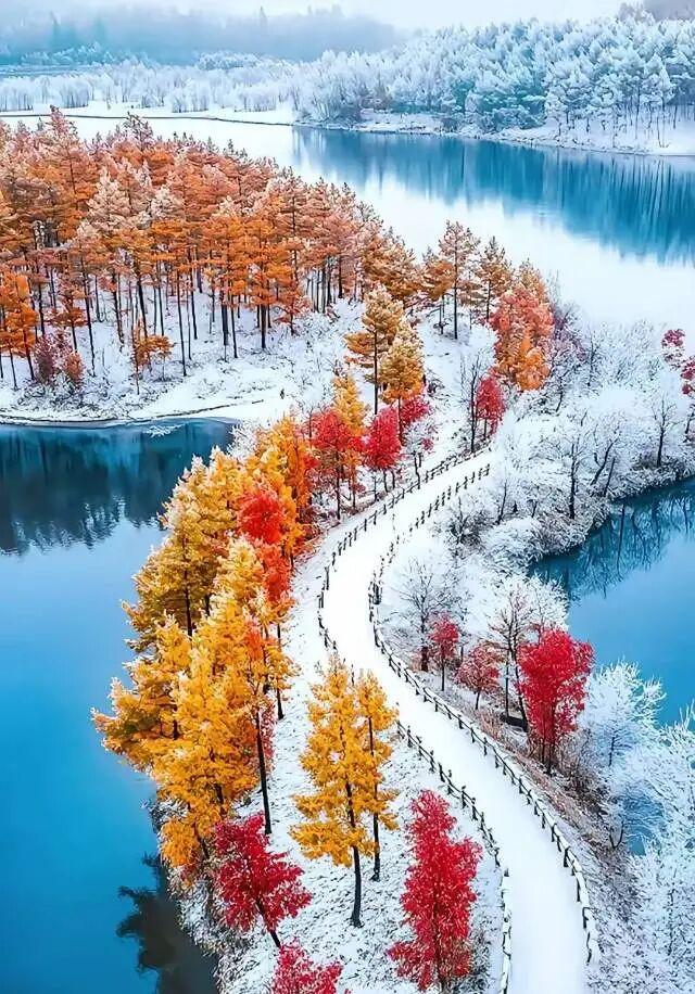 冬日里的仙境，银装素裹，醉人的美！