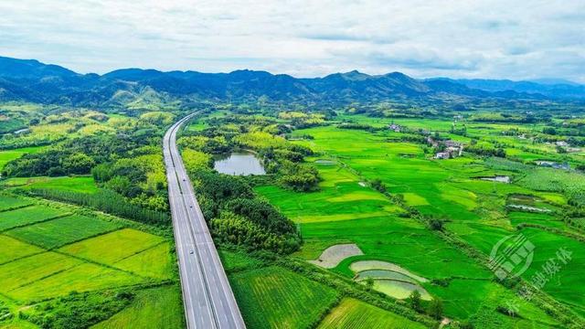 湖北赤壁：蓝天白云映绿野 碧水金稻漫山岗