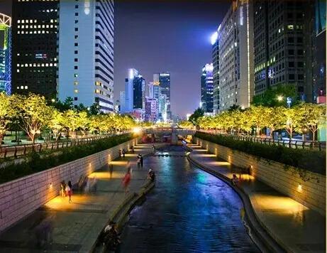 大川至首尔：海外一场跨越山海的逐梦之旅