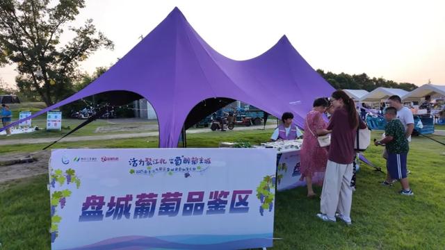 又到一年果香时！来盘城，不止葡萄采摘