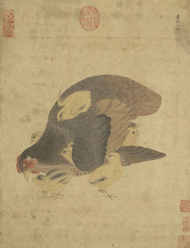 一只鸡是怎样成为顶流的？