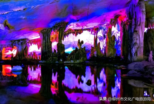 不出远门一样精彩！柳州各大公园日程表出炉，照着玩就对了→