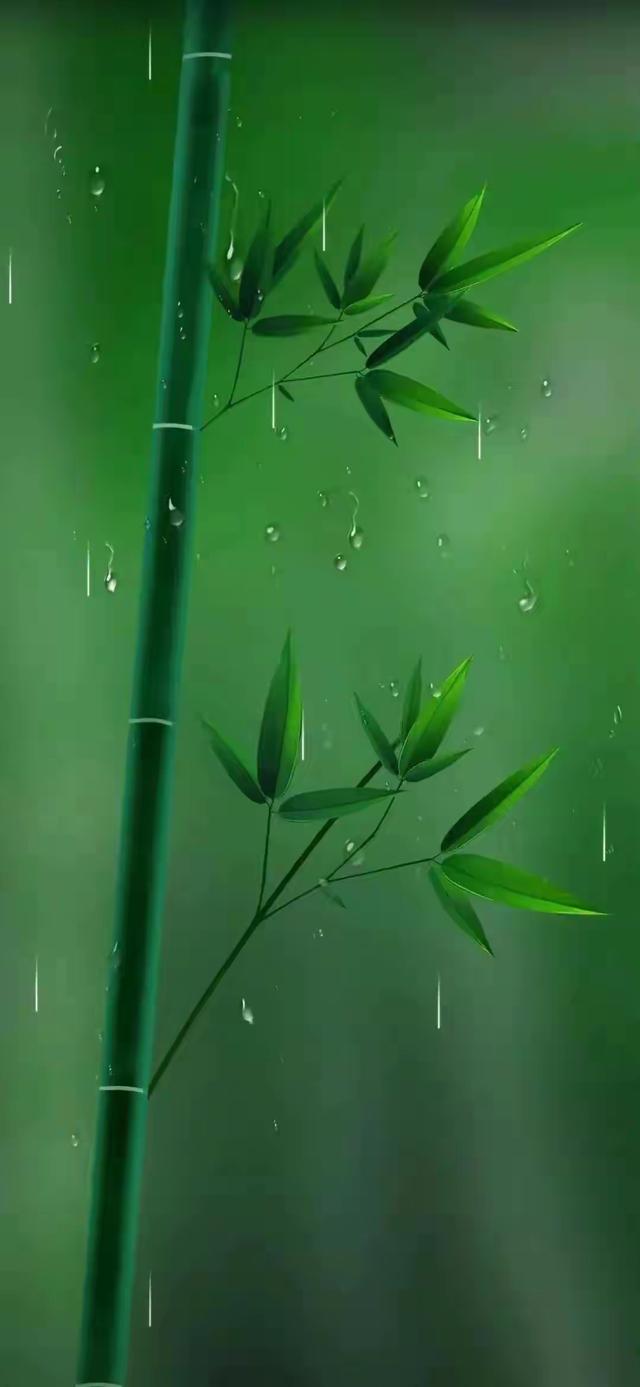 缁胯壊鎶ょ溂澹佺焊缇庡浘