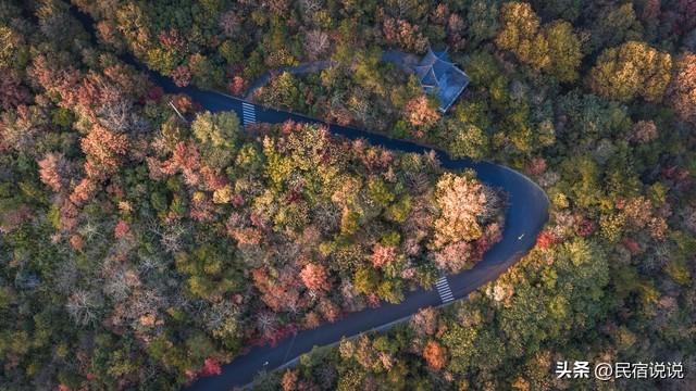 南京栖霞山突然狂圈粉！