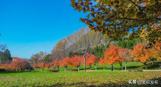 【东方微笑 多彩麦积】摄影师看麦积 | 初冬和谐园景色如画（上）