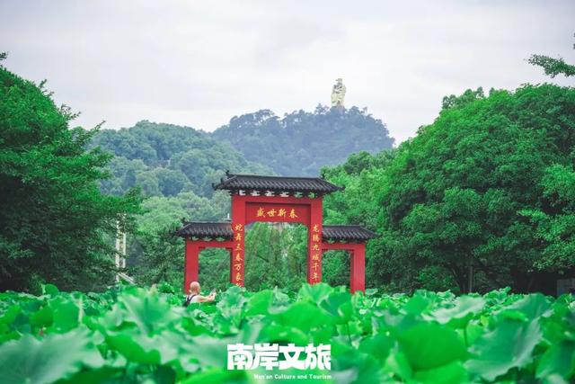 逃离35℃+！在南岸畅享24小时的清凉慢时光