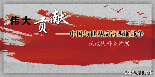 观展指南|十一月，共赴一场秋末的文化漫游→