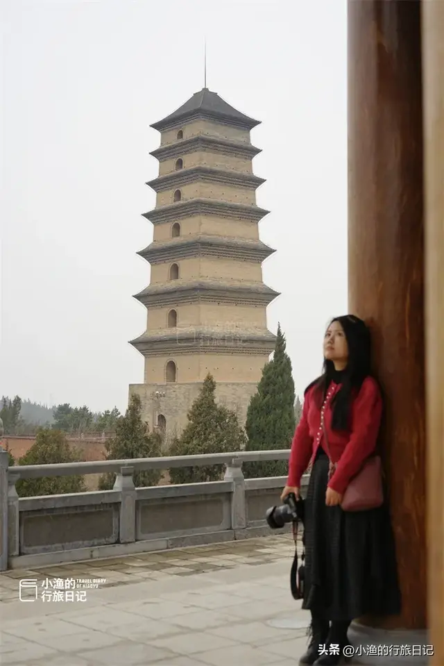 花期提前，秦岭第一波盛大花海已上线！这趟赏梅之旅，可以安排了