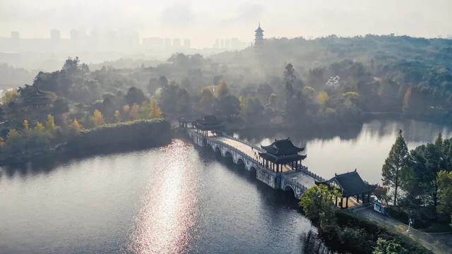 重庆园博园美出新高度！随手一拍都超超超出片→