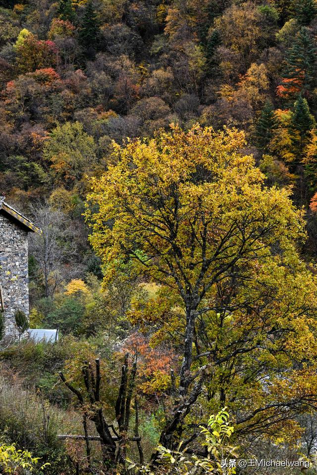 古意秋风三万里（D32）-从纳洛村到卓克基