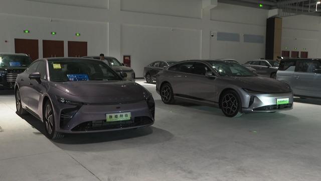 市民游客畅游文博会场馆 E馆F馆多元文化展魅力