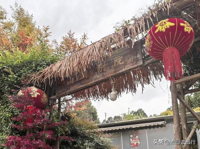 成都龙泉山冷门徒步路线，大片桉树林超美，不要门票，野趣十足！
