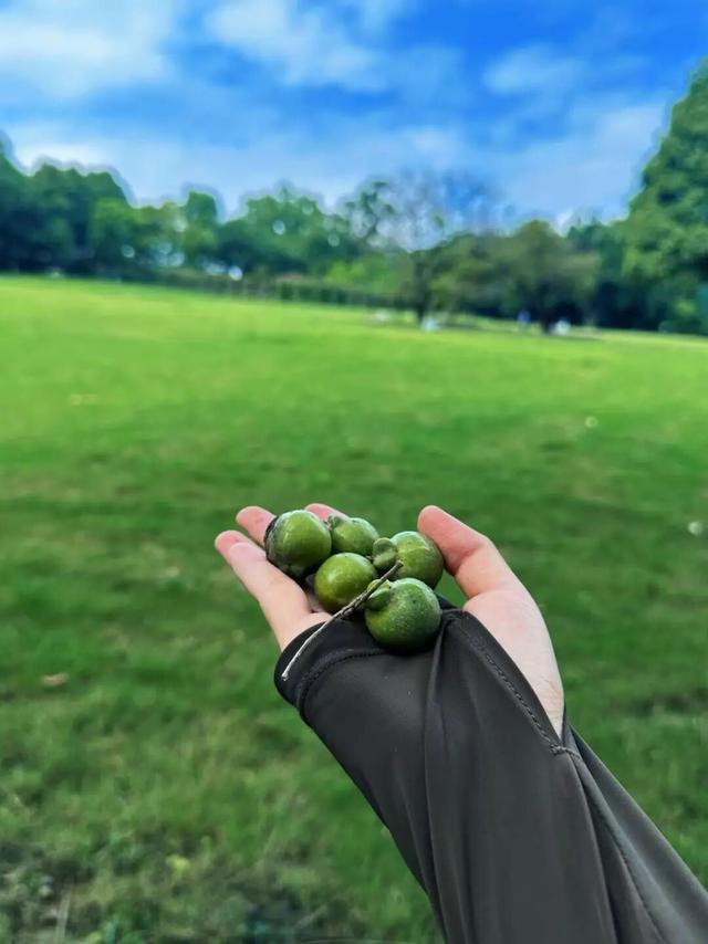 赶紧收藏！植物园内还藏着这样一个小众出片打卡地