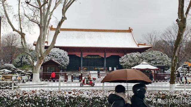 每日一景|大寒雪落金陵 明故宫梧桐披银 市民漫步享冬日诗意