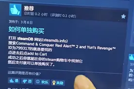 Steam上的红警2，我建议还是别买了图片