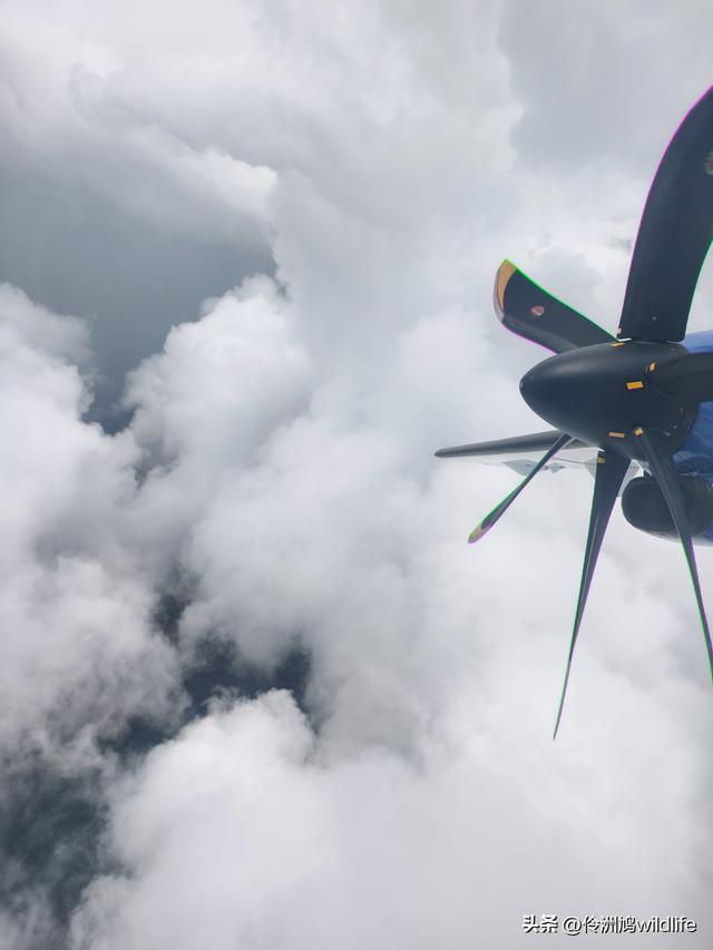 马来西亚(31)砂拉越州⑤姆鲁山canopy树冠高空漫游