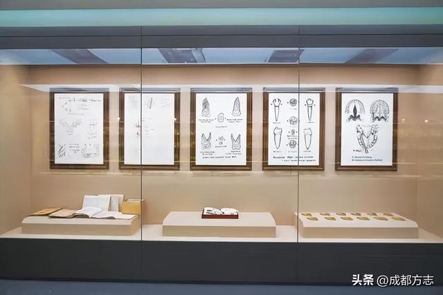 中国首个！这“四大发明”就藏在→
