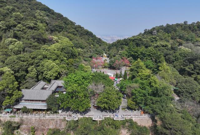 江西吉安不只有井冈山，还有两座山风景也不错，你去过吗