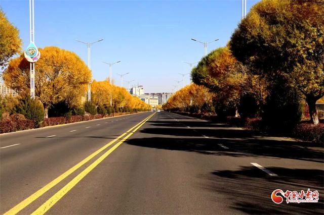 陇拍客丨临泽小城秋景入画