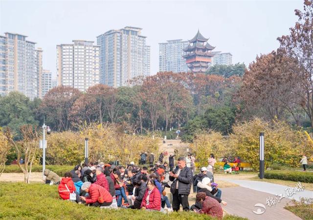 这一波是真香了！