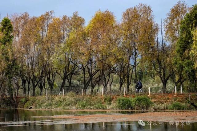 以礼初冬，树染波心山街色 蒋加祥/图