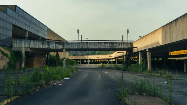 唐克扬：大多数城市公园，是看上去自然的“自然”