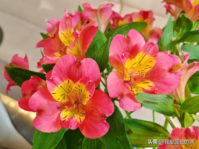 一早乘车到南通吃午饭，这两道菜非常棒，值得跑一趟