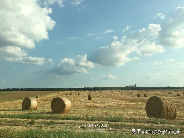游子的Vlog：法国秋天的田园风光8- 秋收后的金色田野