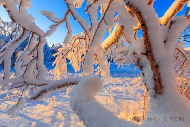 等一场雪，念一座城！安图雪岭的冬日邀约