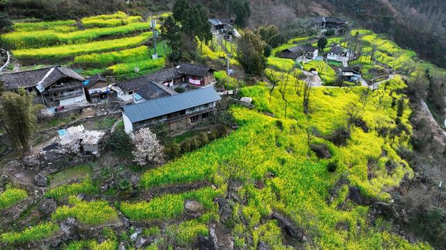 白龙江：长江上游的陇南明珠