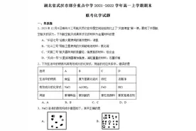 湖北省武汉市部分重点中学2021-2022学年高一上期末联考化学试题图片