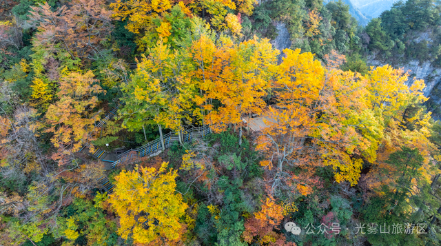 宝子你听我说，近期天气好、红叶美，光雾山可以冲了!