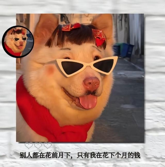 适合发朋友圈的搞笑句子。