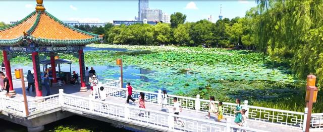 夏日南湖 盛满悠然时光