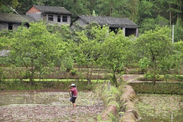 我在酒吧兼职调酒，一个风韵犹存的少妇成了常客，她只点我调的酒