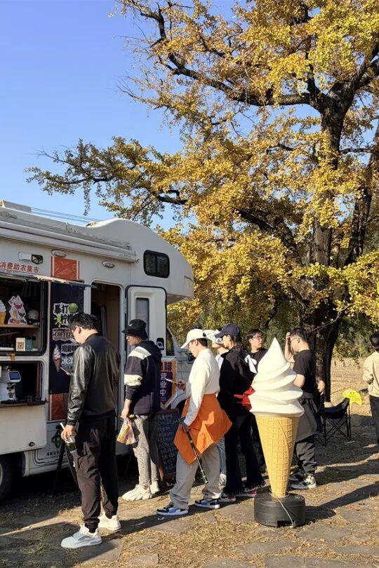 火爆！富阳这个村，超美超好逛！今明两天，招募！