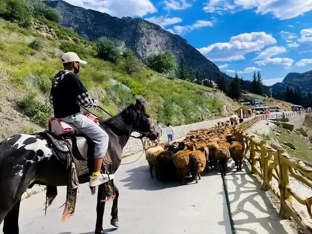 “浪浪山”外有星辰，去可可托海接住漫山的风