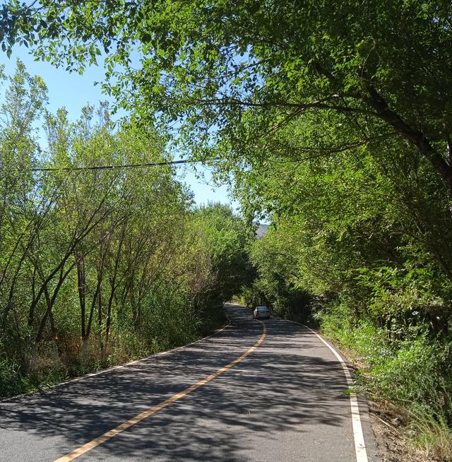 乌市雅山往西去有个水景公园,水面像梯田,还有花卉基地